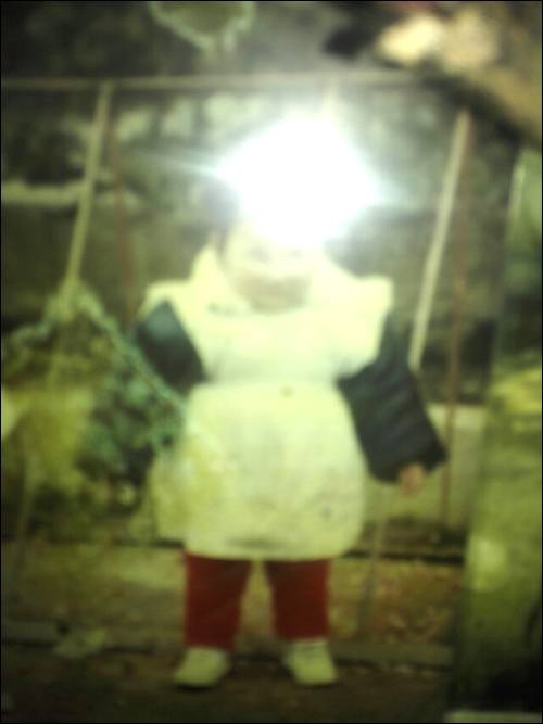 аѰĸ,1989ڰʧɢ,ڼƻĸ