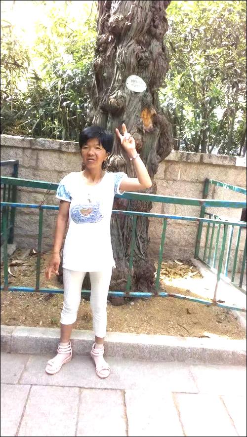ܷѰĸ,1990ڹݰ˳ʧɢ,ƽԭ