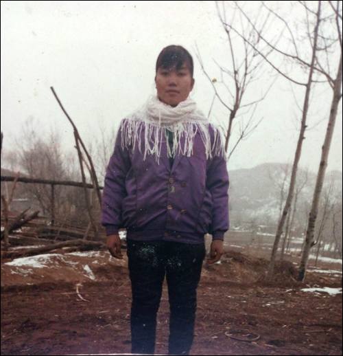 ѰҸĸ ,1993ʧɢ,ǵиطСɯ